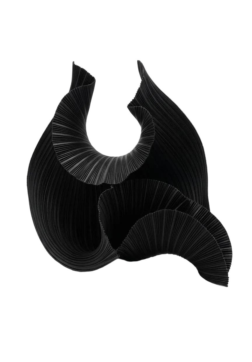 Mollusco