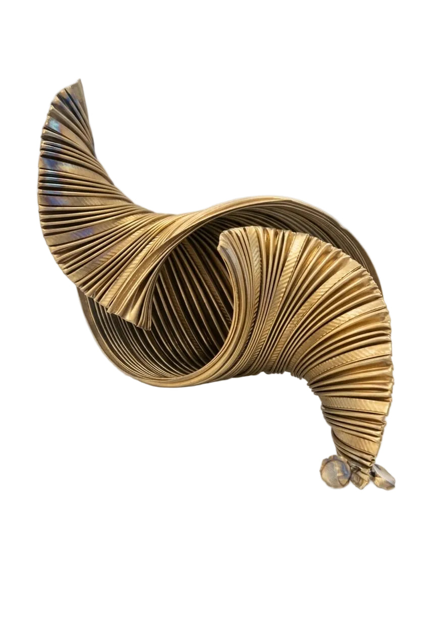 Mollusco