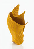 Mollusco