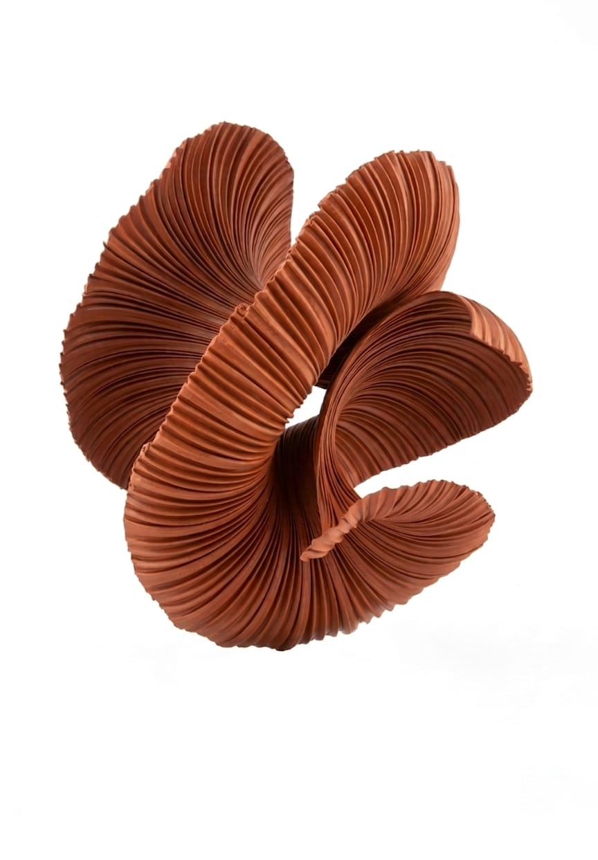 Mollusco