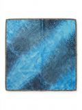 Foulard Roberto Cavalli