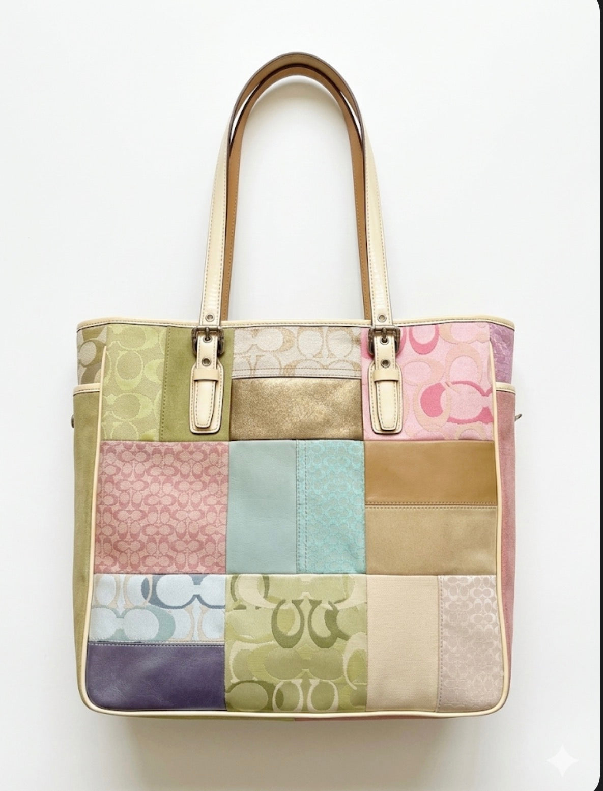 Borsa Coach